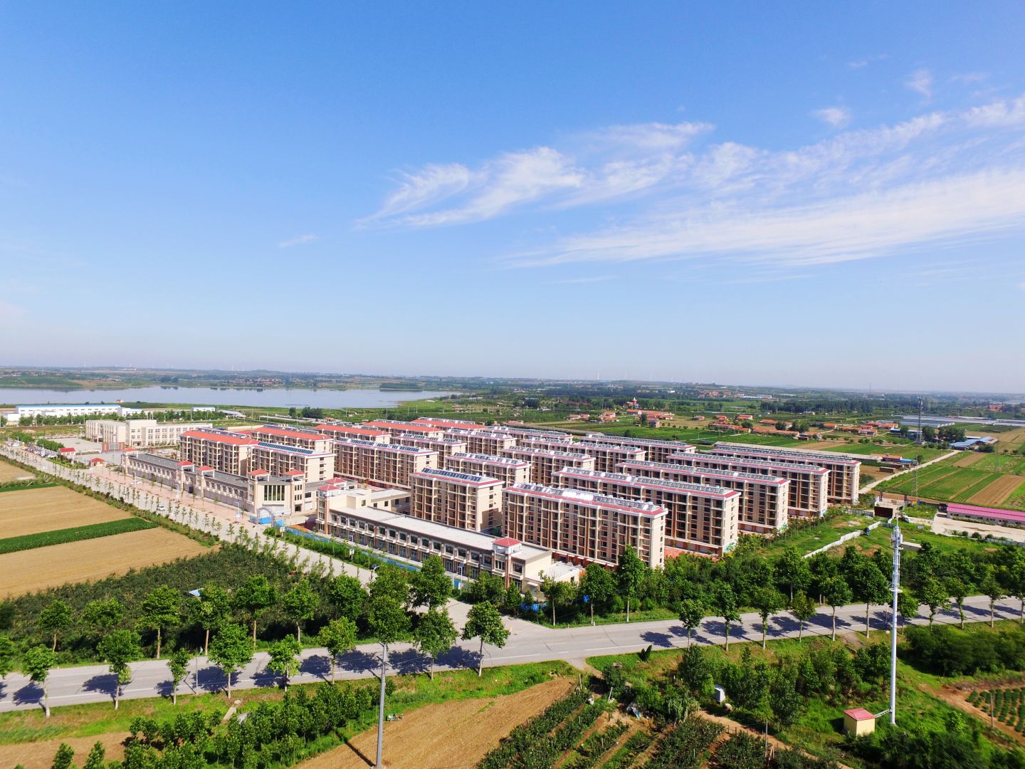 青岛乐投（中国）集团莱西平度公司河头店镇龙泉湖社区项目实景图01_compressed